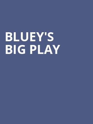 Blueys Big Play, Proctors Theatre Mainstage, Schenectady